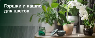 Горшки и кашпо для цветов