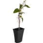 слайд 0