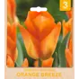 слайд 0