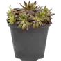 слайд 0
