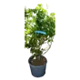 слайд 0