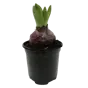 слайд 0