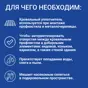 слайд 7