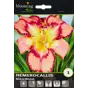 слайд 0