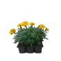 слайд 0