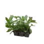 слайд 0