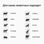 слайд 7