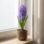 слайд 0