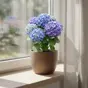 слайд 0