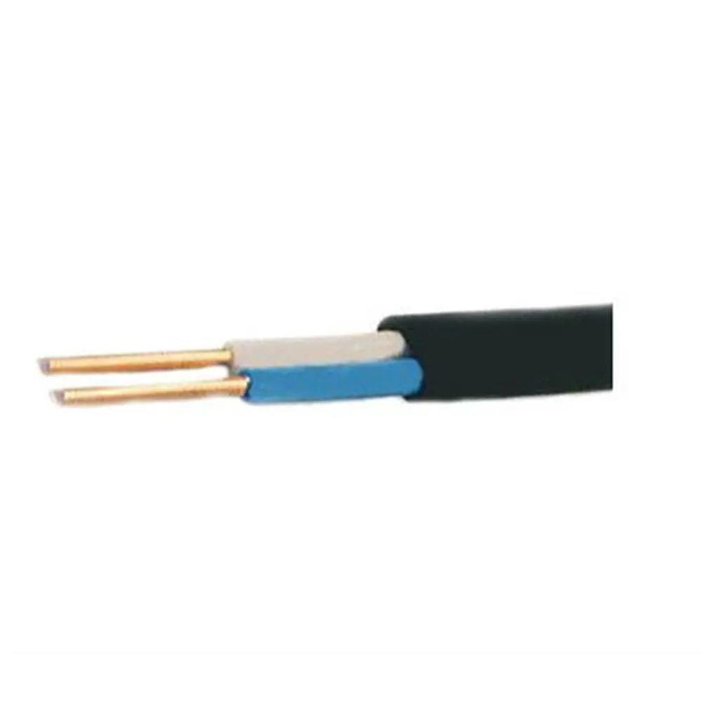 Фото Кабель ВВГп-НГ (А)-LS 2х4 на отрез (ГОСТ) Фото Кабель ВВГп-НГ (А)-LS 2х4 на отрез (ГОСТ)