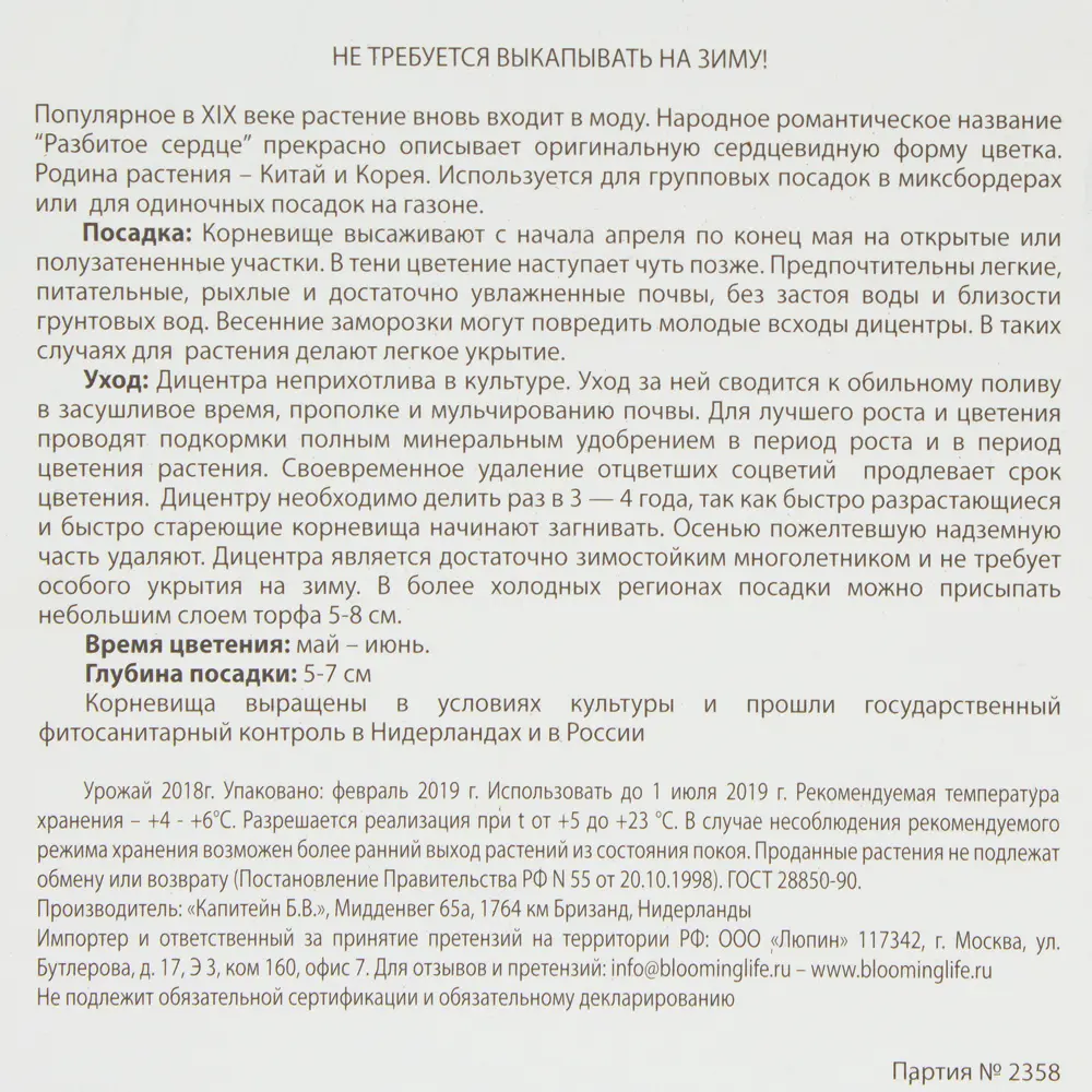 Фото 3 Дицентра Валентина I, 1 шт