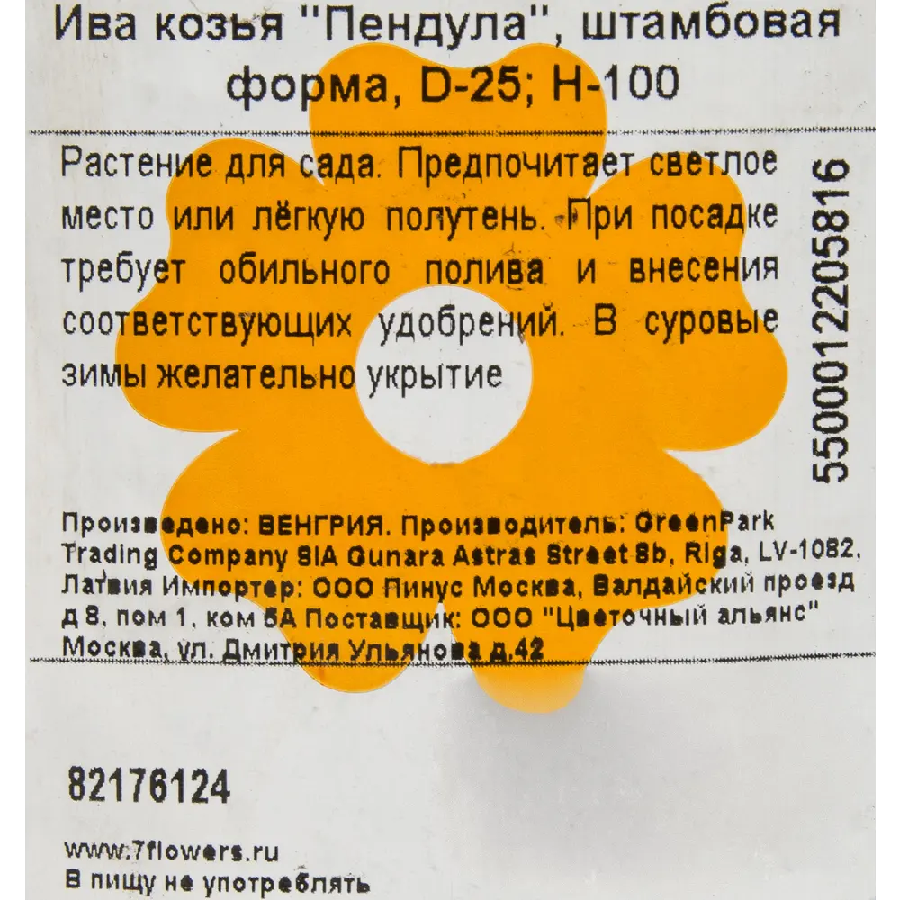 Фото 2 Ива козья «Пендула» D25 100 см