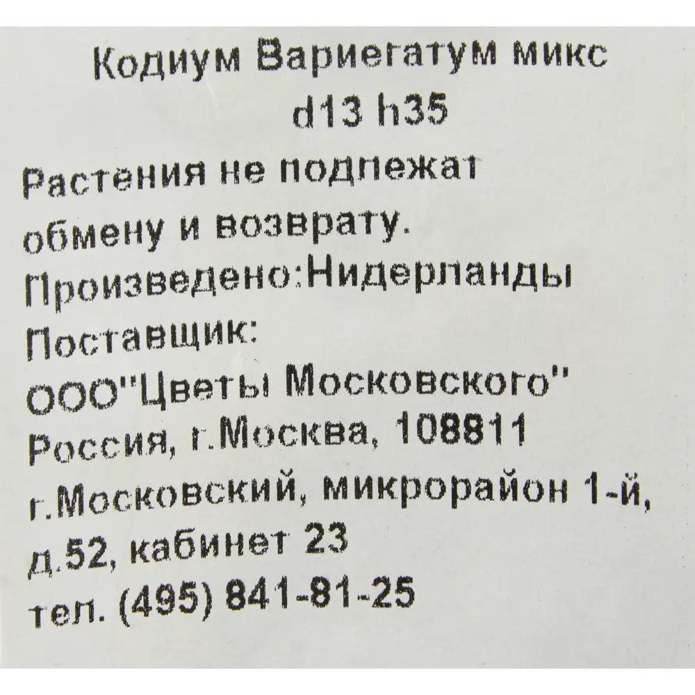 Фото 3 Кодиум Вариегатум микс 13x35 см Фото 3 Кодиум Вариегатум микс 13x35 см