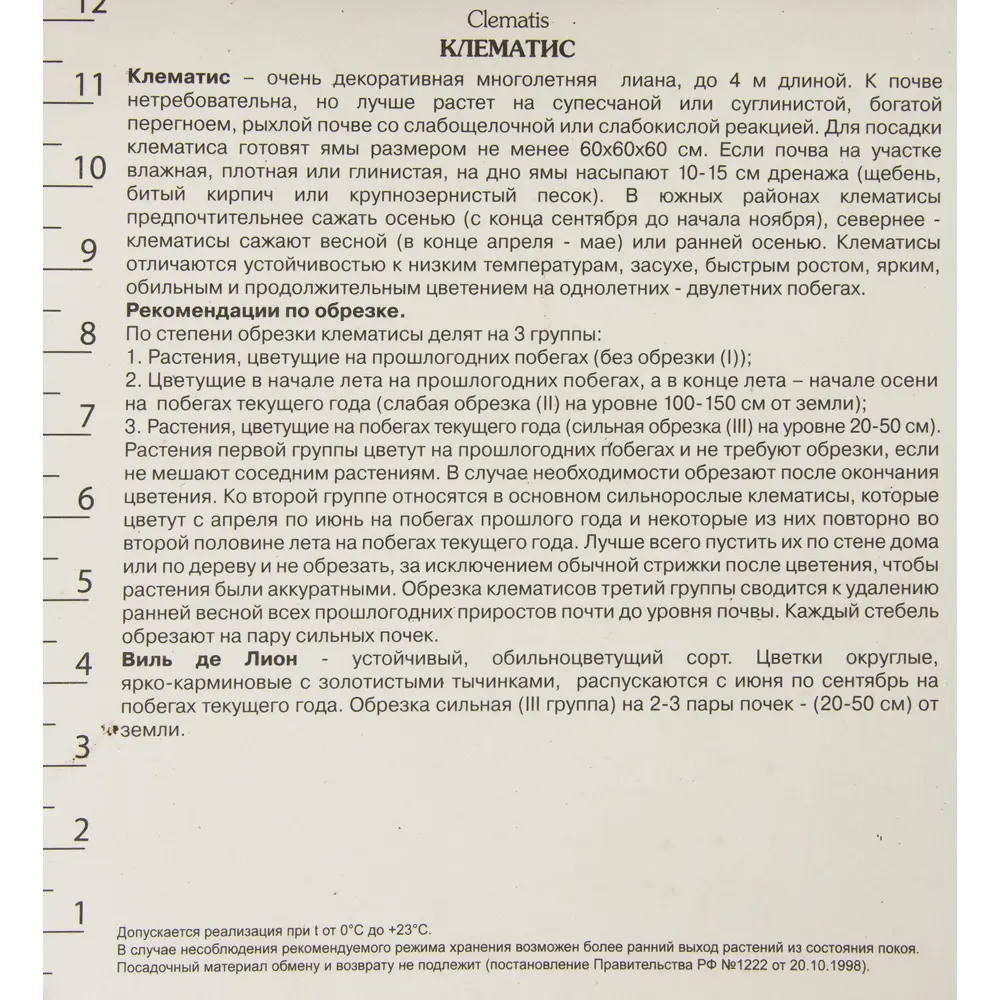Фото 2 Клематис Виль де Лион Поиск