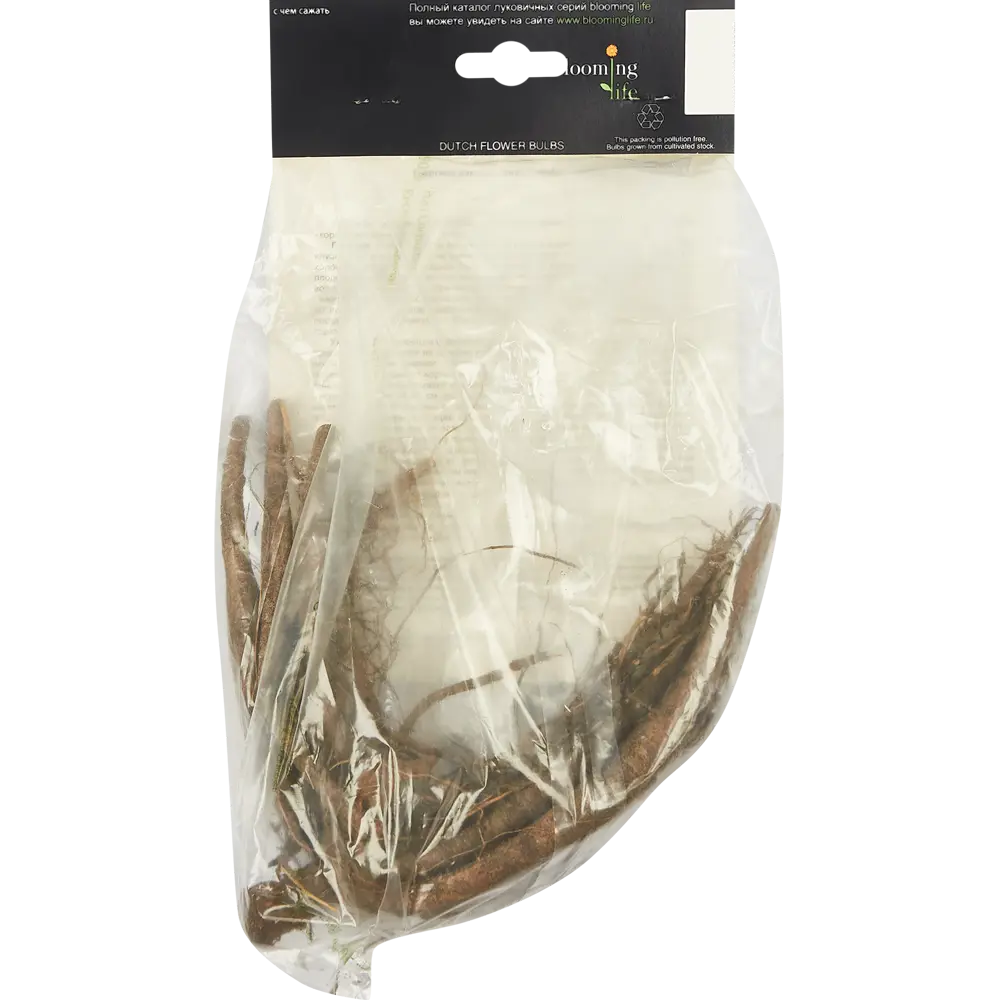 Фото 3 Георгина Рейнбоу Сайленс 1 шт. Фото 3 Георгина Рейнбоу Сайленс 1 шт.