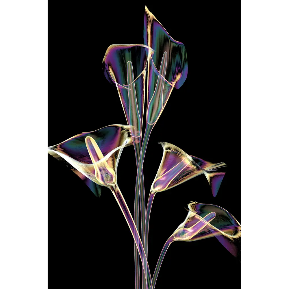 Фото Картина на стекле Рентген 4 40x60 см