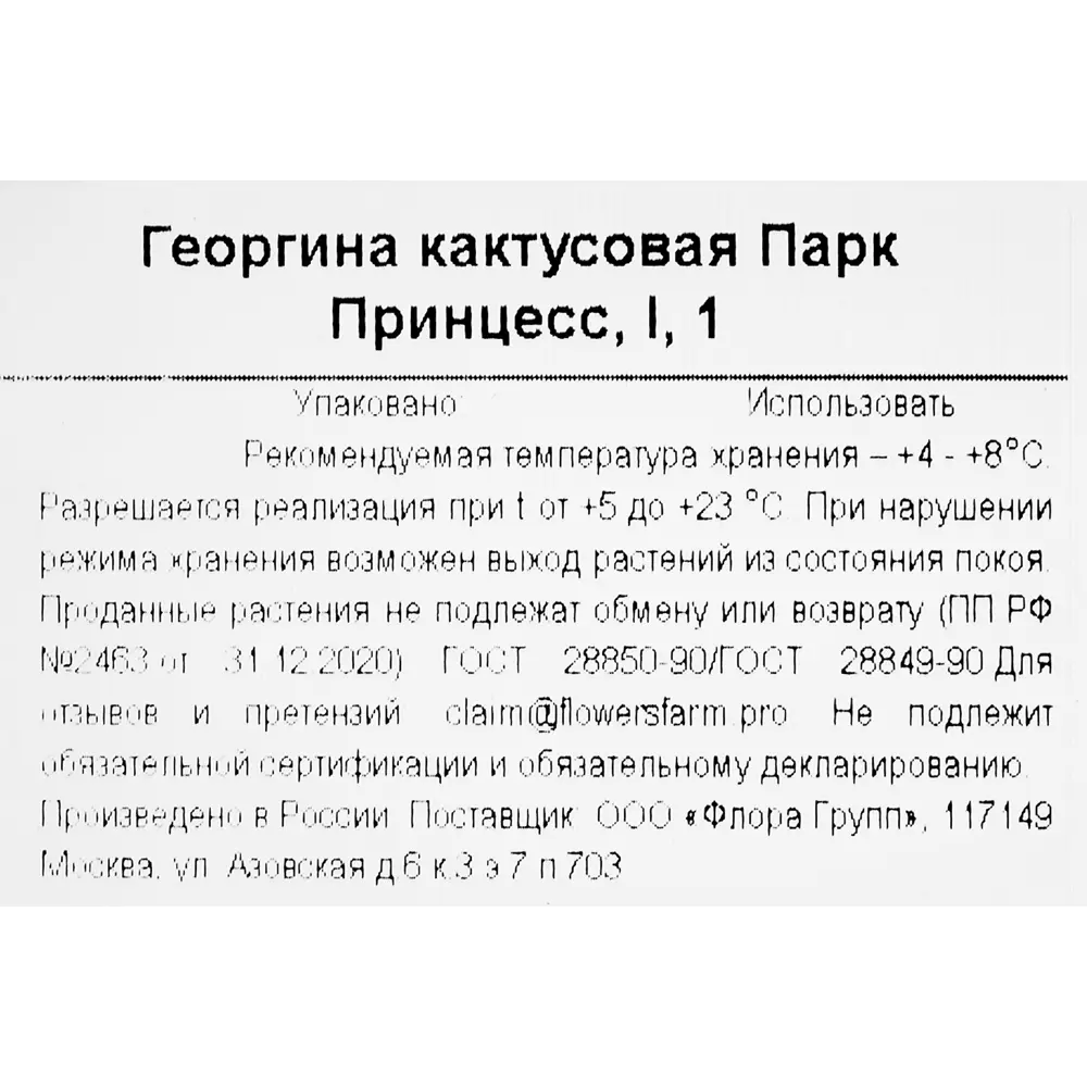 Фото 3 Георгина кактусовая Парк Принцесс