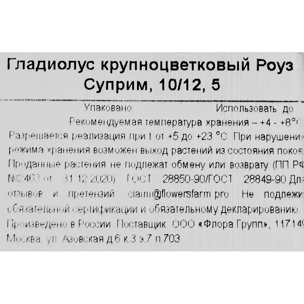 Фото 3 Гладиолус крупноцветковый Роуз Суприм