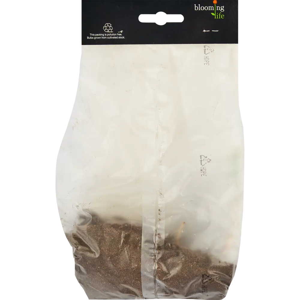 Фото 2 Лилейник Опен Май Айз