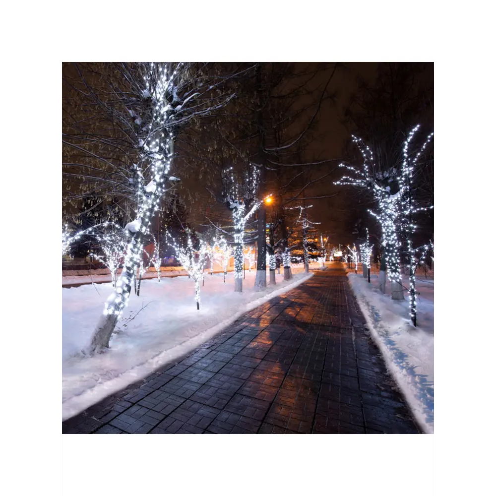 Фото 2 Гирлянда ПВХ Neon-night 325-165 100 см белый