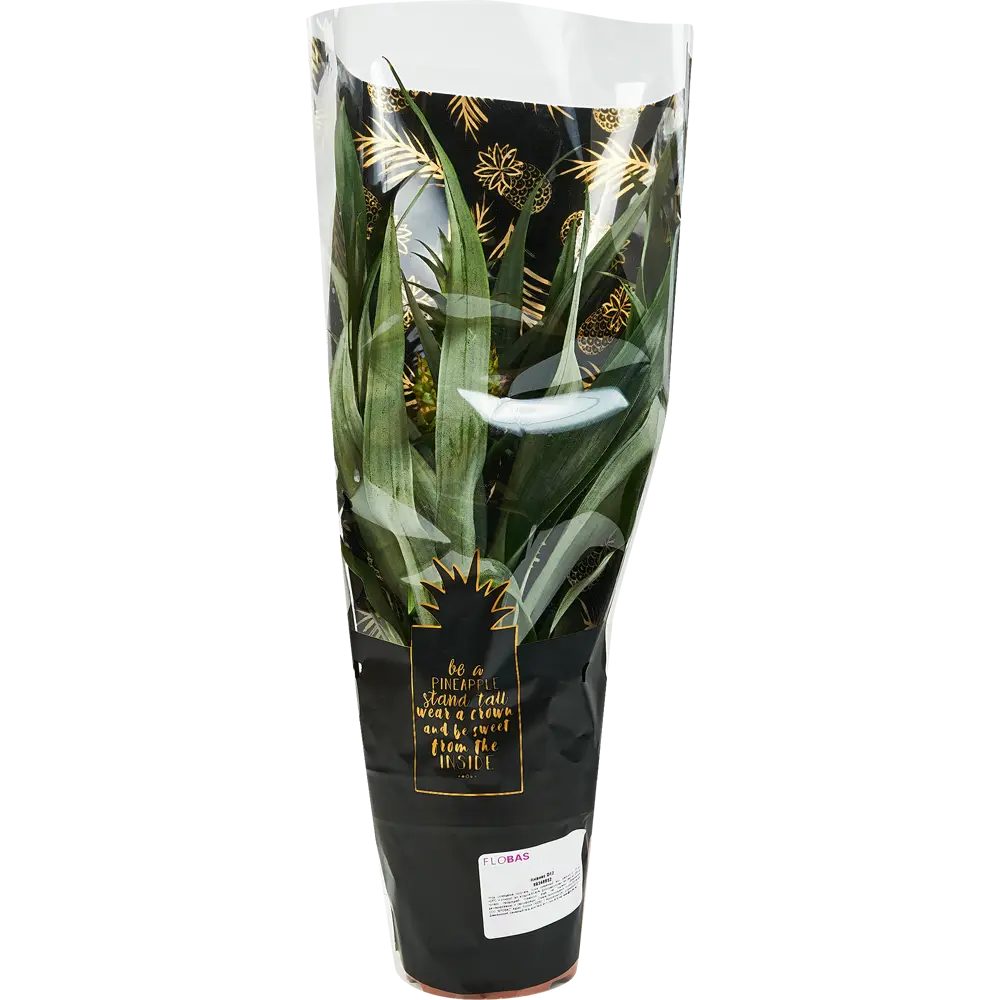 Фото 5 Ананас ø12 h35 см