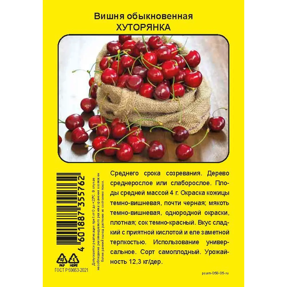 Фото 2 Вишня Хуторянка пакет h50 см