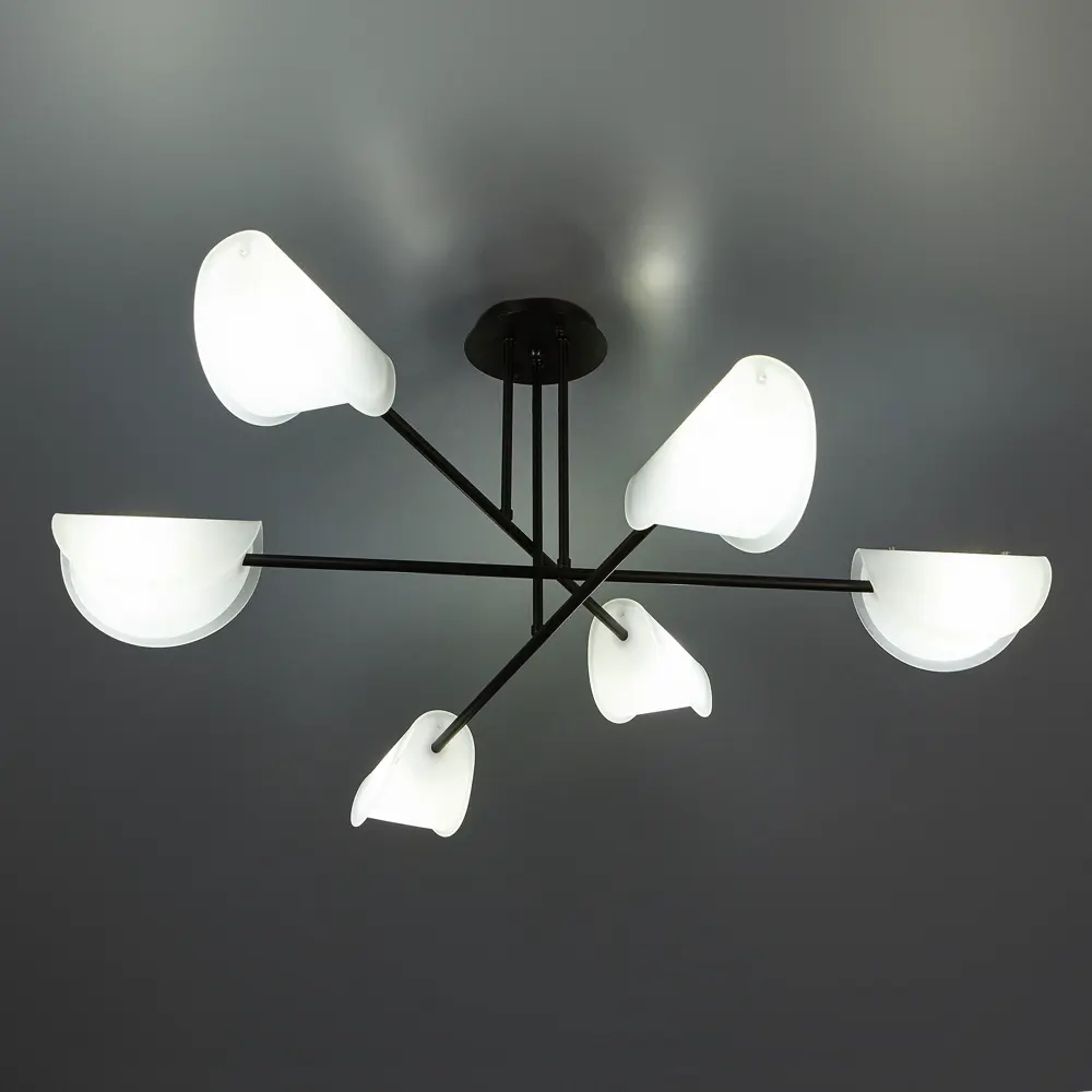 Фото 2 Люстра потолочная Mallow FR5228PL-06B 6 ламп Фото 2 Люстра потолочная Mallow FR5228PL-06B 6 ламп