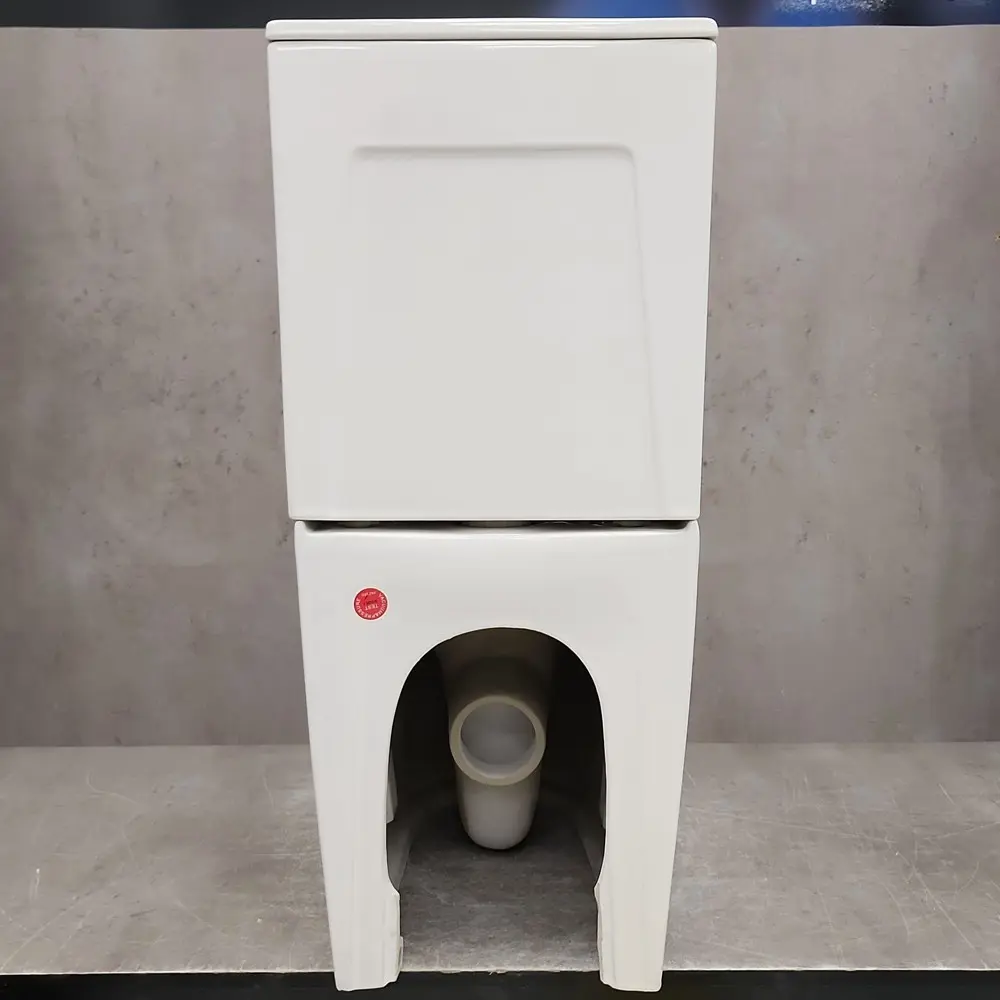 Фото 2 Унитаз-компакт Bloomix Barron 3.0 AD3091T/UF3cr безободковый торнадо