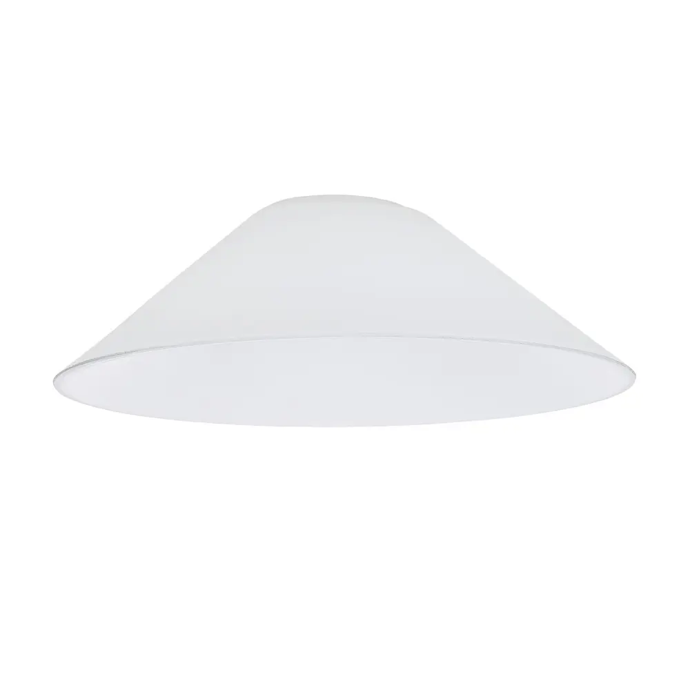 Фото Плафон Citilux Эдисон Cl450.12 E27 стеклянный белый Ø 22 см
