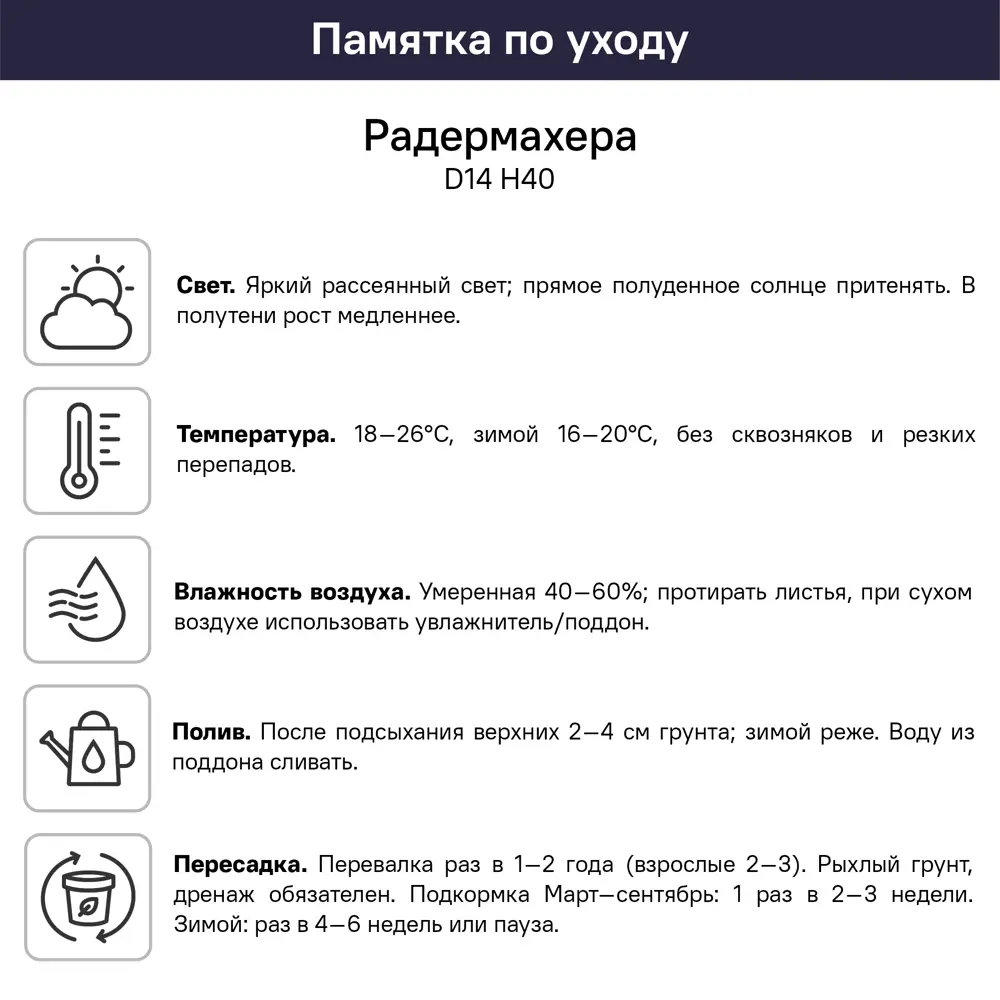 Фото 5 Радермахера ø18 h40 см