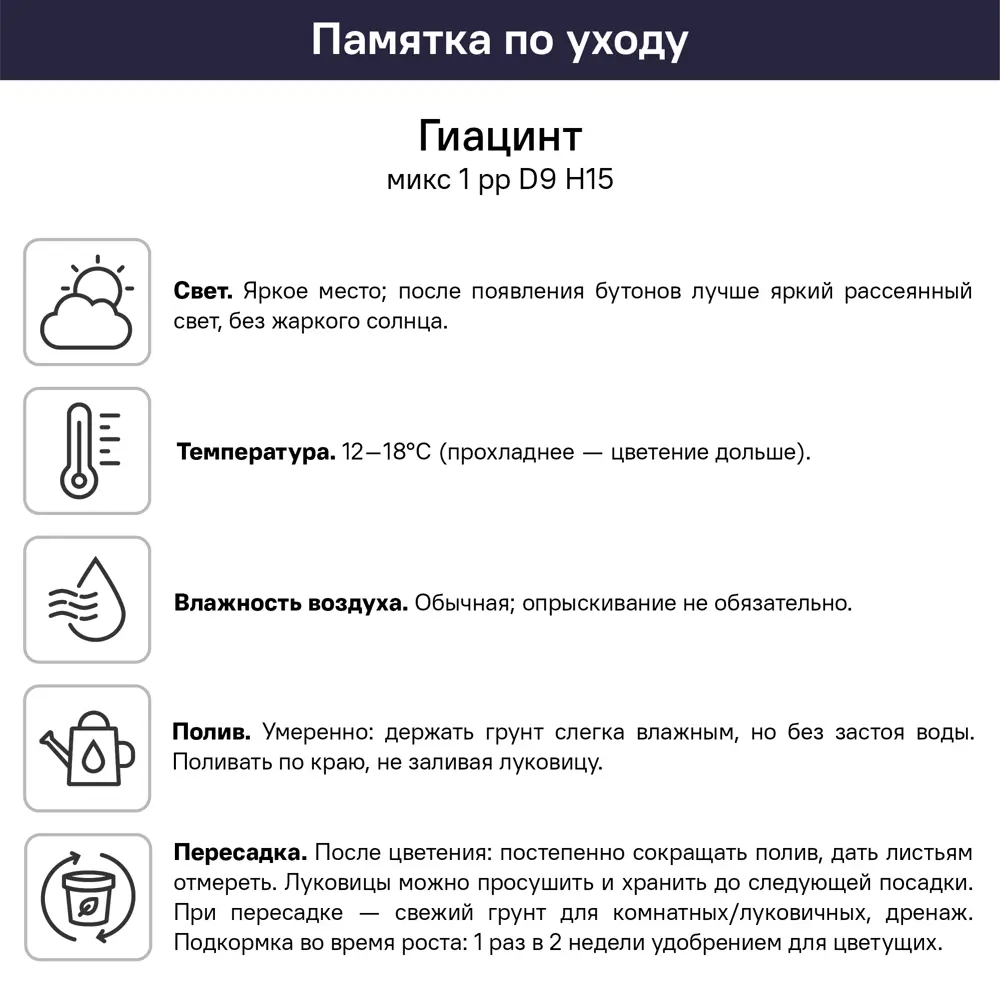 Фото 6 Гиацинт микс ø9 h15 см