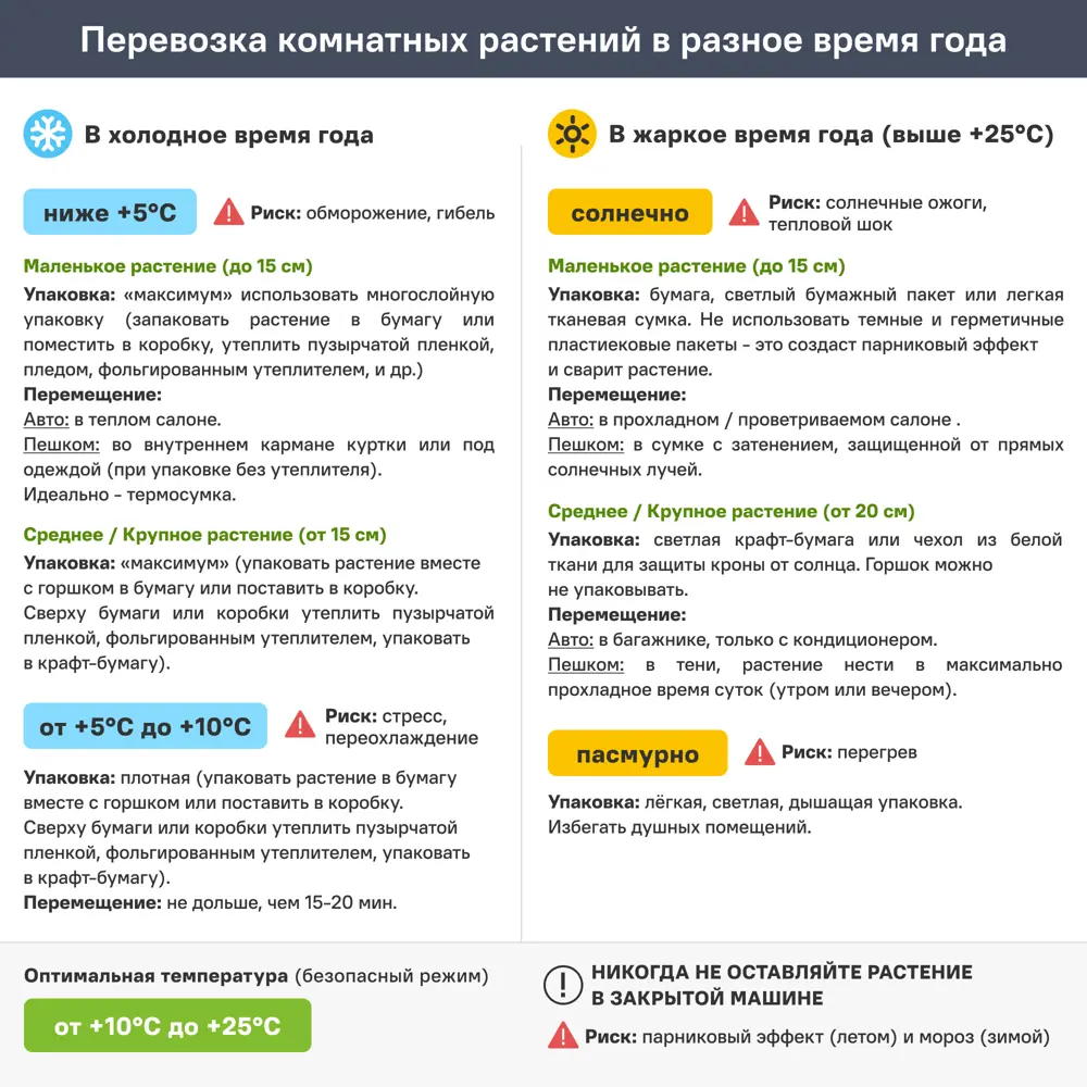 Фото 5 Каланхое микс ø8 h15 см