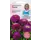 Цинния «Тюдор» 10 шт.
