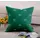 Подушка Haushalt HAUSHALT NKNNP1/DF, 39x39 см, цвет зеленый Подушка Haushalt HAUSHALT NKNNP1/DF, 39x39 см, цвет зеленый