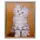 Картина в раме Simaland "Котёнок" 43x53 см