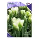 Тюльпан «Спринг Грин», размер луковицы 11/12