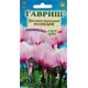 Цикламен персидский «Розмари», 3 шт.