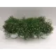 Гипсофила 12x35 см