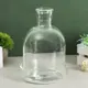 Ваза Evis "Мини-флорариум" 28x18 см 3 л стекло