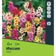 Иксия микс луковицы 5/8, 8 шт.
