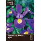 Ирис голландский Профессор Блаау луковицы 7/8 8 шт