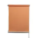 Рулонная штора ПраймДекор 37x170 см 3037103