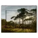 Картина Дом Корлеоне Прогулка 70x90 см