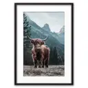 Постер Дом Корлеоне Шотландский бык 07-0272-50x70, 50x70 см