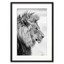 Постер Дом Корлеоне Лев в профиль 07-0276-30x40, 30x40 см