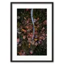 Постер Дом Корлеоне Осенний лес с высоты 07-0369-40x60, 40x60 см