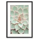 Постер Дом Корлеоне Светло-зеленый суккулент 07-0433-21x30, 21x30 см