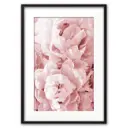 Постер Дом Корлеоне Розовые пионы 07-0455-21x30, 21x30 см