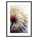 Постер Дом Корлеоне Одуванчик на рассвете 07-0587-21x30, 21x30 см