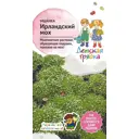 Семена Мшанка «Ирландский мох»